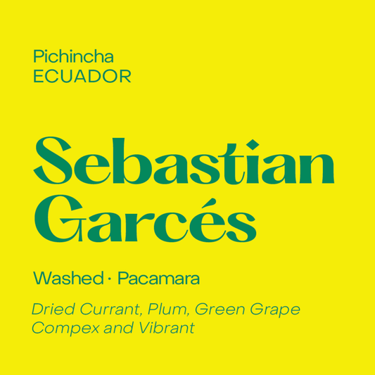 ECUADOR - SEBASTIAN GARCES (Pacamara)
