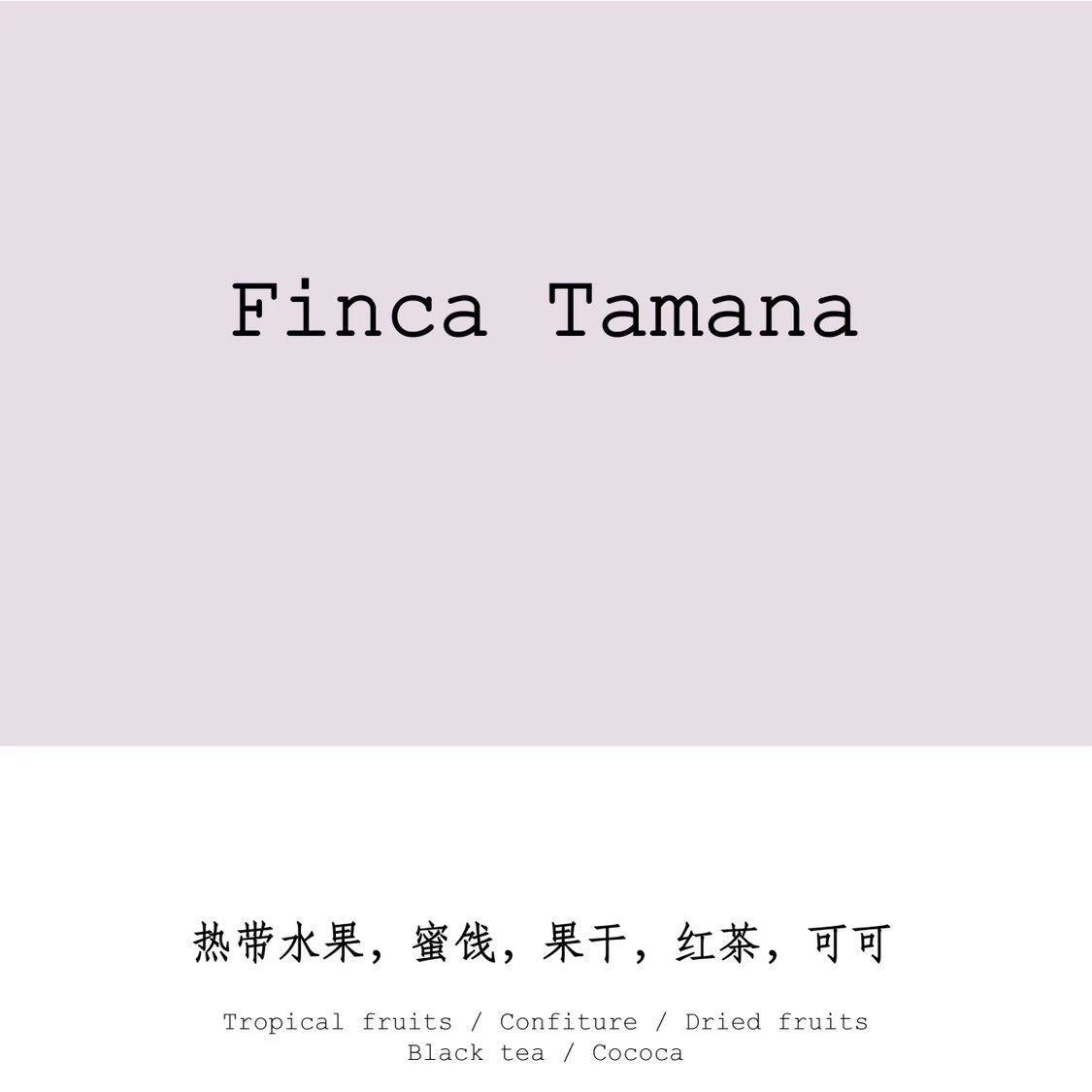 COLOMBIA - FINCA TAMANA